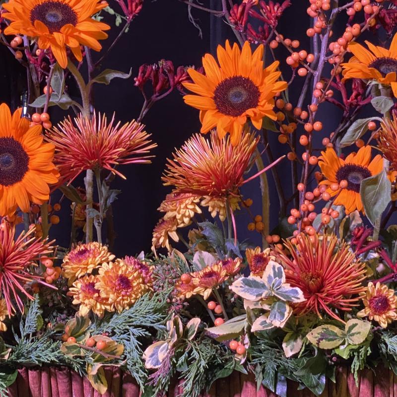 06 12 Whitehaven Flower Club