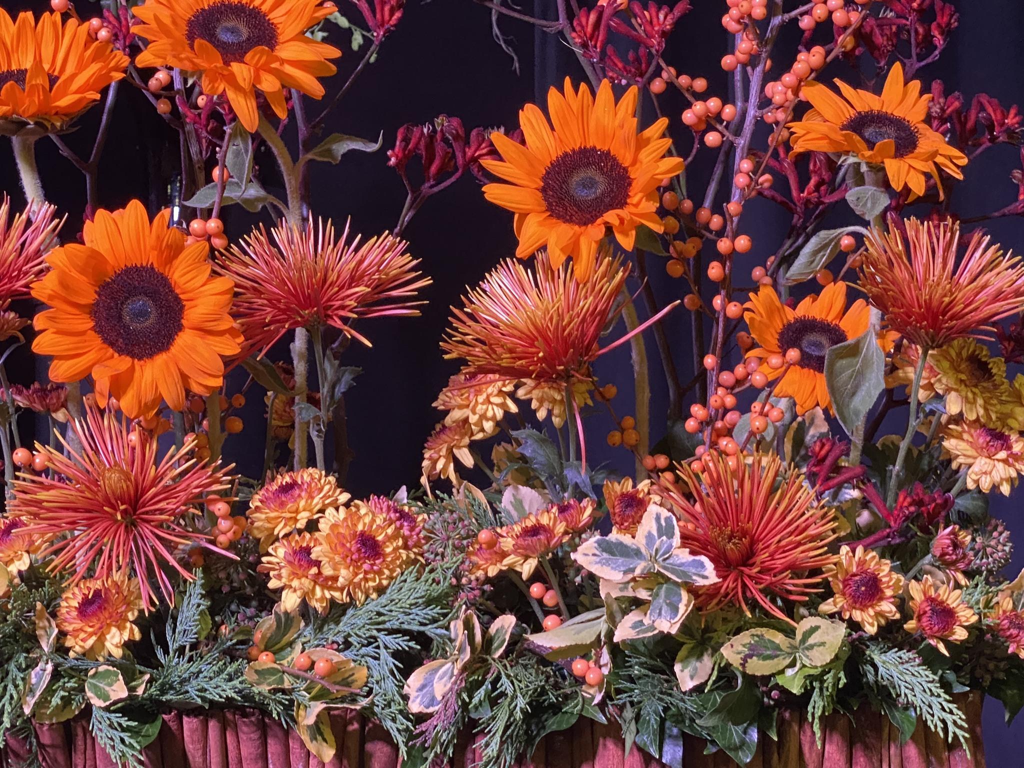 06 12 Whitehaven Flower Club