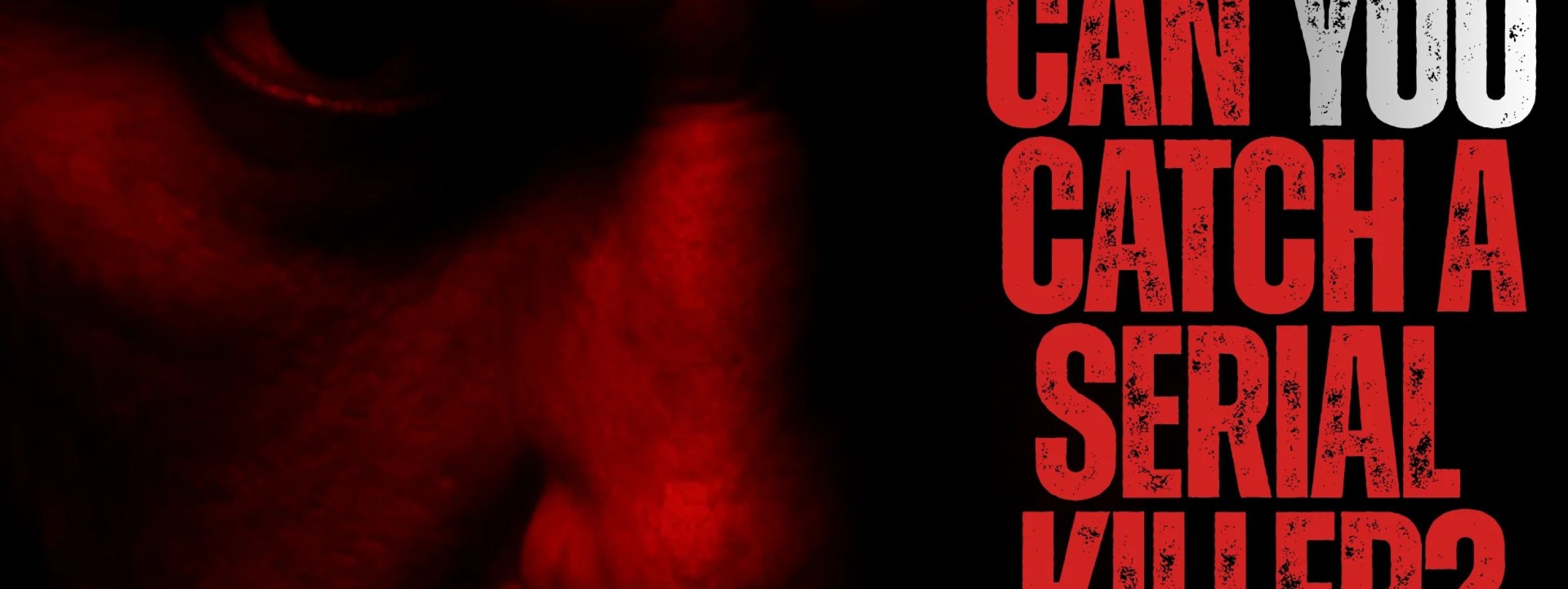 Can You Catch A Serial Killer
