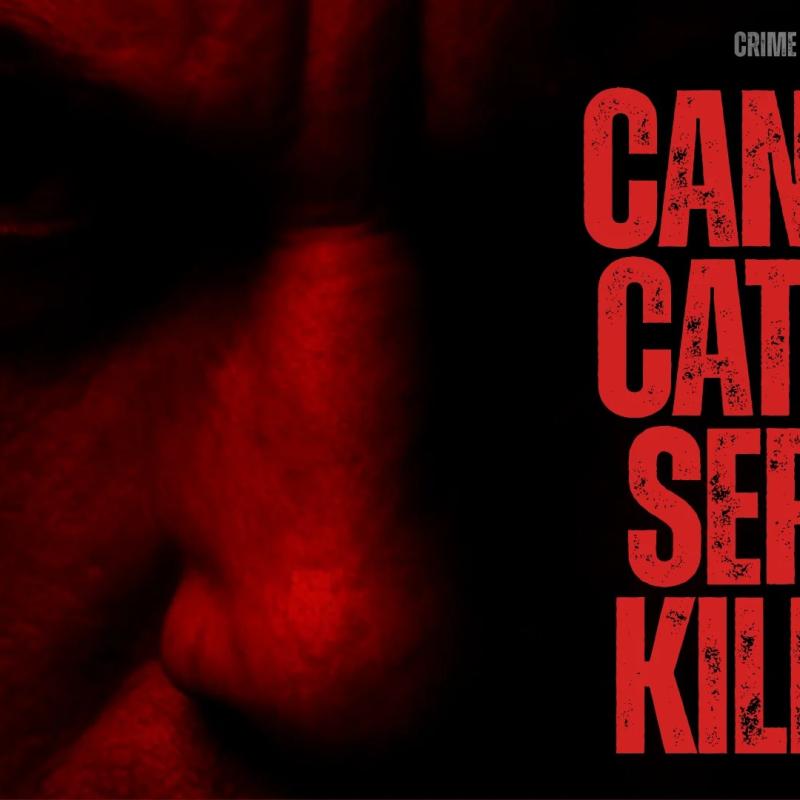 Can You Catch A Serial Killer